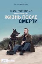 Жизнь после смерти / Следом за жизнью