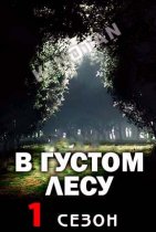 Леса / В густом лесу