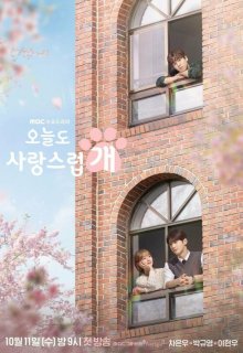 Отличный день, чтобы стать собакой