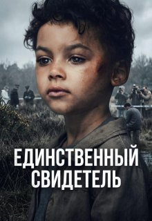 Смотреть Единственный свидетель онлайн в хорошем качестве